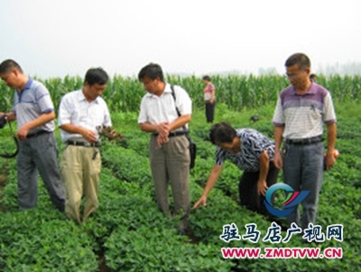 正陽(yáng)：“田間課堂”科技惠民