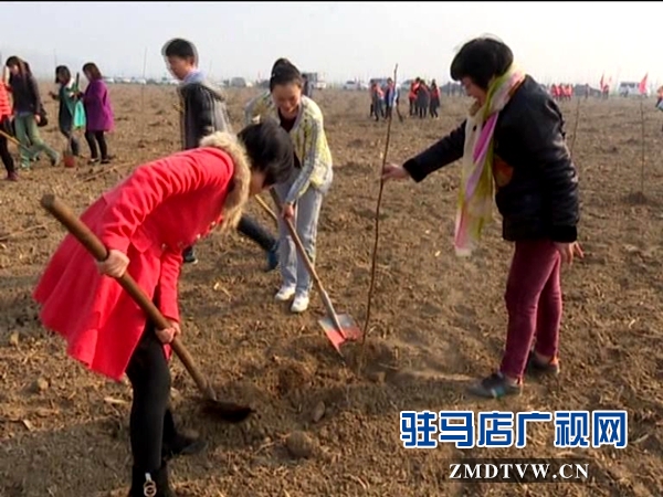 獻(xiàn)禮三八節(jié)，共植巾幗林_20160307091028.JPG