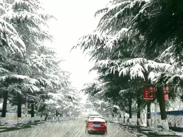 駐馬店2017第一場雪，竟然如此驚艷！附河南28條交通管制高速路段