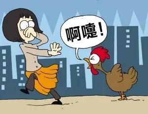 河南新增4例H7N9流感病例，這些事千萬不要再做了！