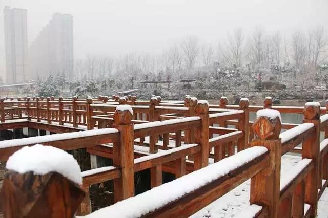 下雪啦！駐馬店今冬第一場雪終于來了！開心的是再上8天班就放假啦！