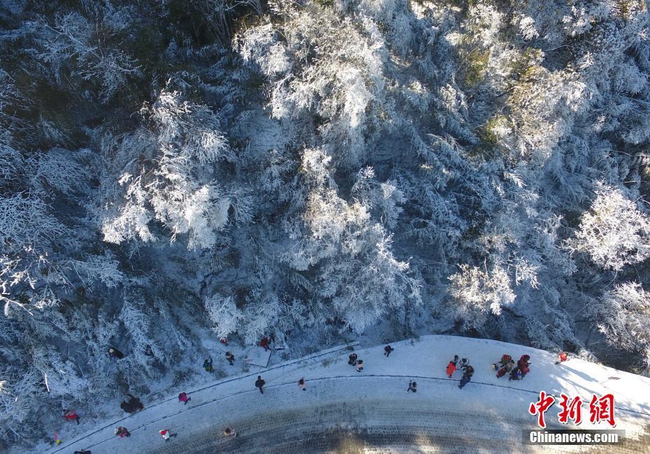 12月20日，重慶金佛山銀裝素裹雪景美如畫(huà)，吸引了不少游客前來(lái)觀賞。當(dāng)日，第19屆金佛山冰雪節(jié)正式開(kāi)幕。 陳超 攝