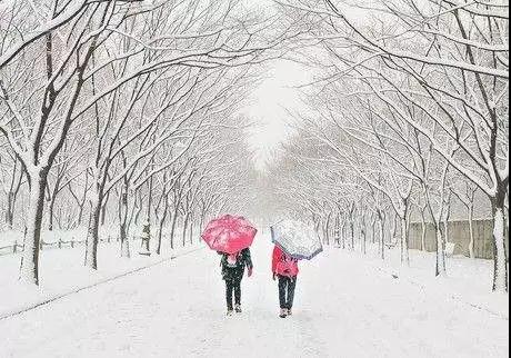 暴雪！明天起，駐馬店將連迎5天雪！開心的是，這兩類人將再漲錢！