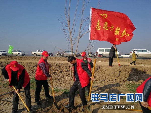 植樹(shù)造林1.jpg