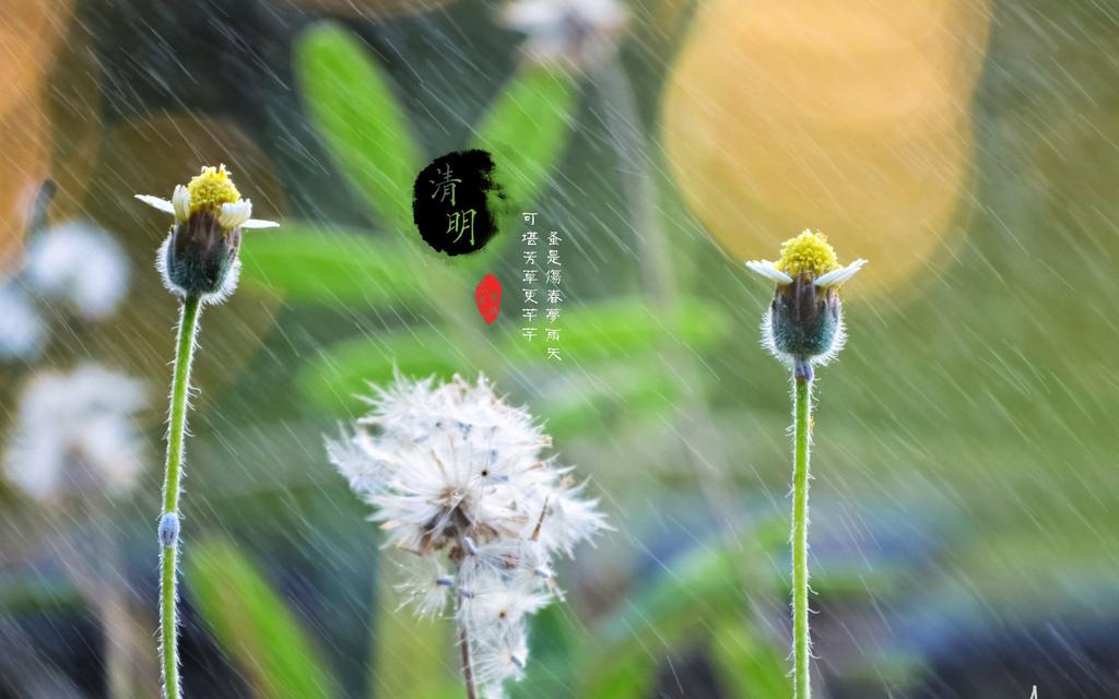 暴降18℃！駐馬店將開啟降溫+雨+大風模式，還有…