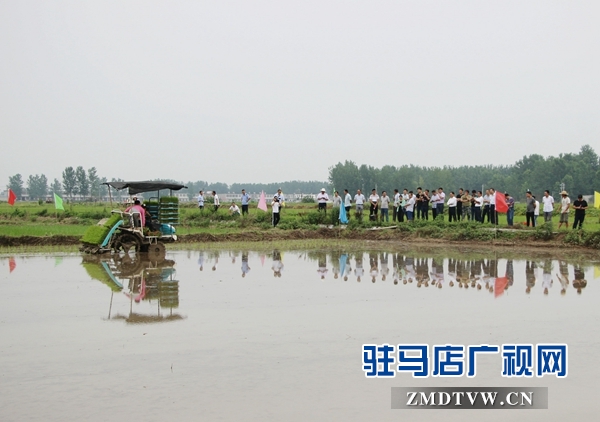 正陽縣推廣水稻機(jī)械化插秧