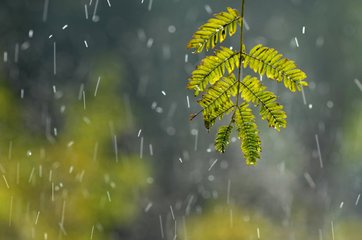 今起，駐馬店大風(fēng)、降溫、降雨三連殺，低溫14℃！最重要的是...