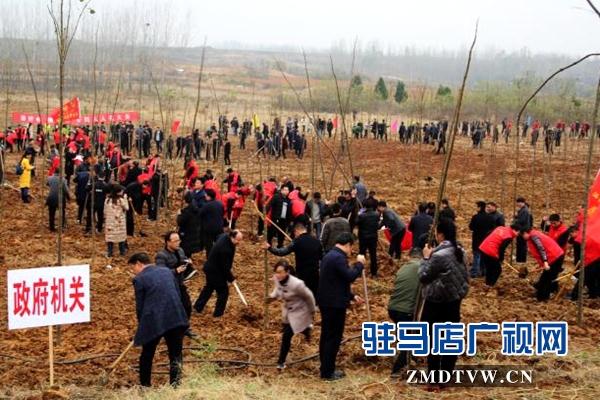 泌陽：全面啟動實施國土綠化提速行動 