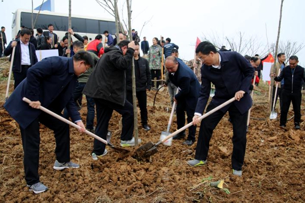 泌陽(yáng)：全面啟動(dòng)實(shí)施國(guó)土綠化提速行動(dòng)