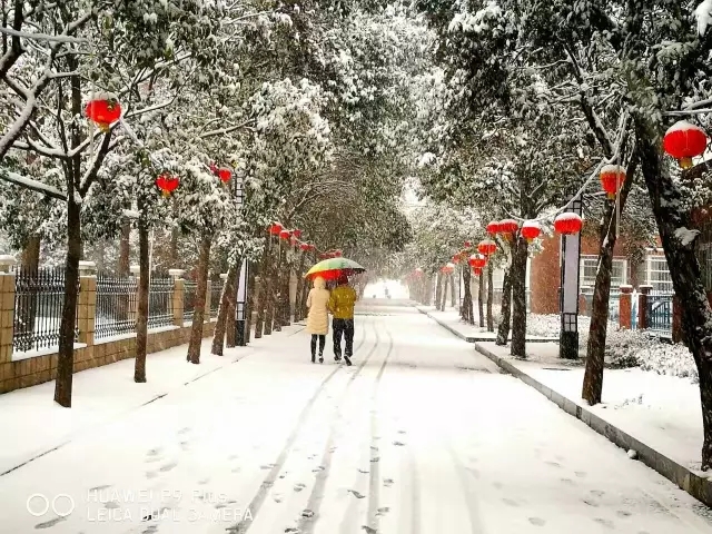 今日小雪！最低2℃！接下來，駐馬店天氣大反轉！這些一定要注意...