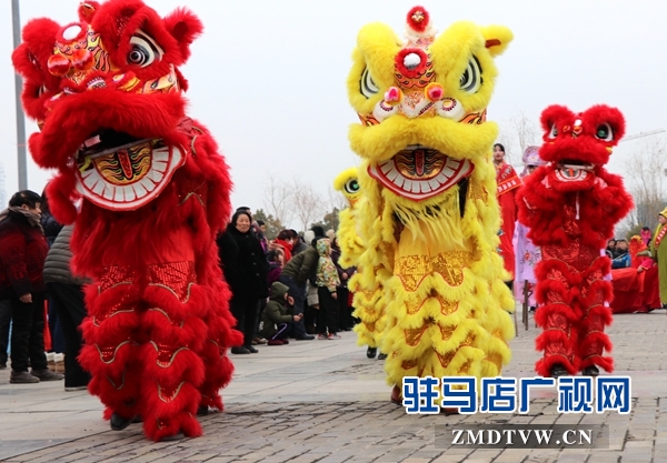 舞龍、耍獅、扭秧歌 駐馬店民間藝術(shù)展演吸引數(shù)千市民圍觀