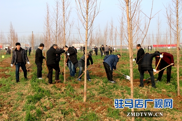 汝南縣文化廣電旅游局開展義務(wù)植樹活動(dòng)