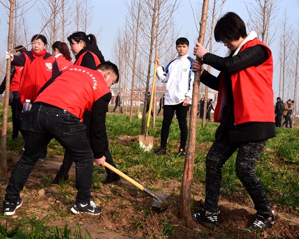  汝南：草長鶯飛二月天 大好春光植樹去