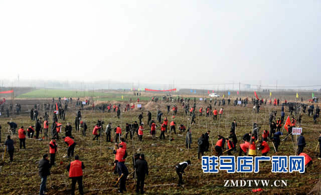 泌陽縣2019年春季義務植樹活動啟動