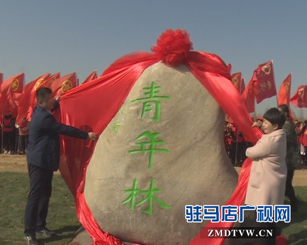 西平縣舉行大型植樹活動(dòng)暨青年林揭牌儀式