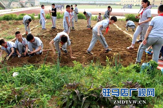 確山億達雙語學校開展社會實踐活動