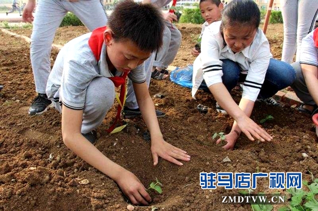 確山億達雙語學校開展社會實踐活動