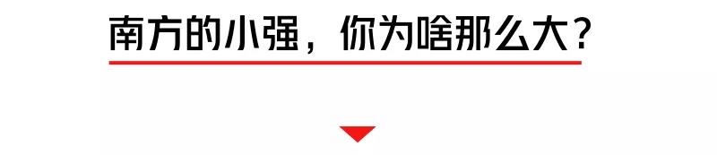 螂有N種死法，真正靠譜的是這2種 