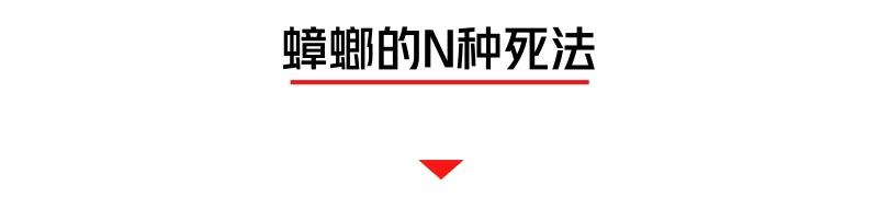 螂有N種死法，真正靠譜的是這2種 