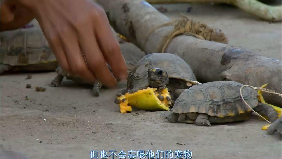 刷屏朋友圈的假「圣母」，今天必須拆穿 