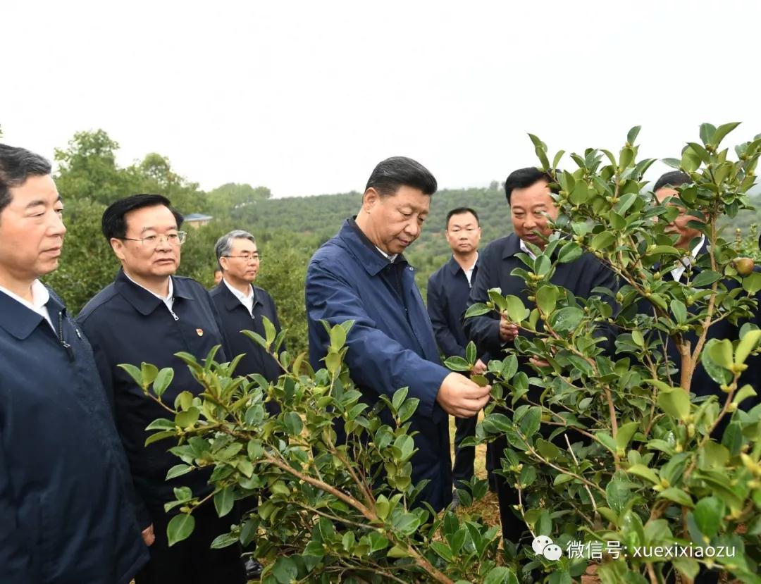 習近平考察河南全記錄