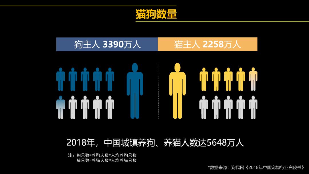 中國(guó)首只克隆貓回家了，你會(huì)花 38 萬(wàn)跟去世的寵物再續(xù)前緣嗎？