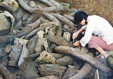 三星堆發(fā)現(xiàn)90年 古蜀文明之門從這里打開 