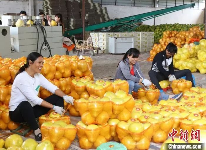 春節(jié)豬肉、蔬菜、水果會集體漲價(jià)？農(nóng)業(yè)農(nóng)村部回應(yīng)