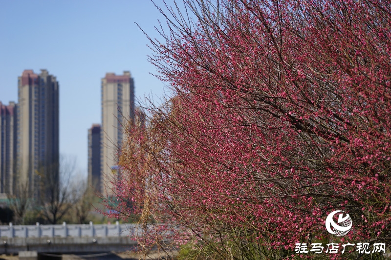 再次與自己約定，閉門不出