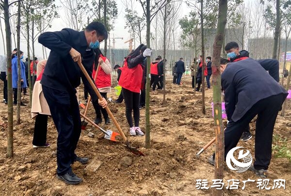 陳星 朱是西等市領(lǐng)導(dǎo)與廣大干群一起參加植樹造林活動