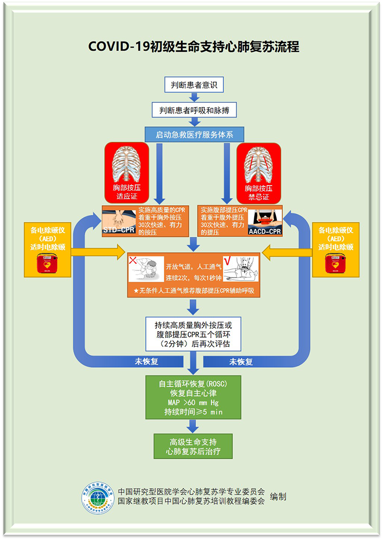 “疫”中如遇心搏驟停 可參考初級(jí)心肺復(fù)蘇流程救治