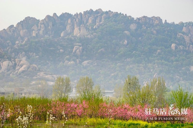 終于等到你，美麗大駐馬