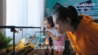 寵物演員參演劇集，絕不是走過(guò)場(chǎng) 