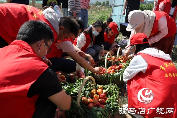 黨員為農(nóng)產(chǎn)品代言，政協(xié)助力脫貧攻堅 