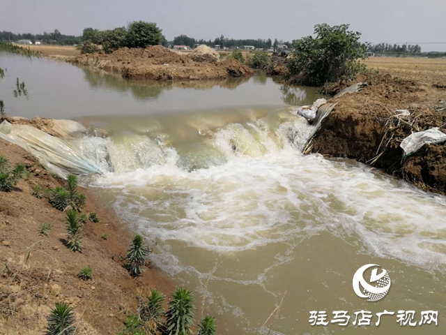 汝南縣邢莊村:筑壩截水、疏通溝渠，抗旱搶種保“三夏”