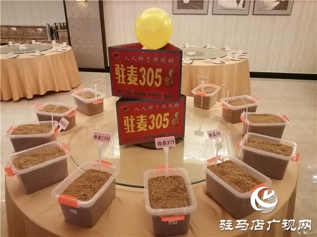 駐研種業(yè)2020年小麥種子推介及政策發(fā)布會