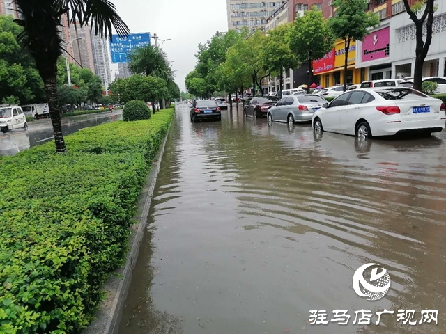 遇到積水路面如何開車？