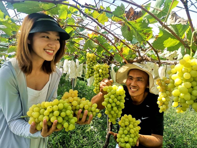 駐馬店市驛城區(qū)盛邦種植聯(lián)合社： 帶動(dòng)群眾致富奔小康 打造國家級農(nóng)民合作社示范社