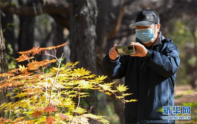 這里為何“不掃落葉”——長春創(chuàng)新管理理念打造城市秋景