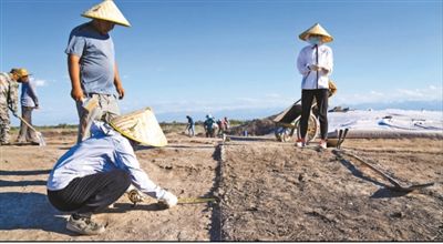 遺址格局逐步清晰，歷史文化內(nèi)涵日益豐富  北庭故城考古發(fā)現(xiàn)不斷深入