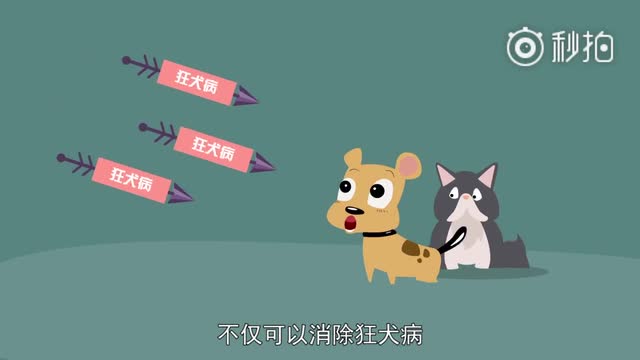 狂犬病有多狂？