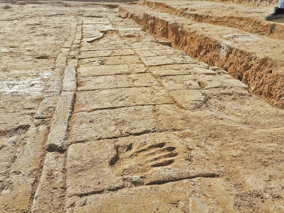 隋唐洛陽(yáng)城宮城玄武門遺址初露真容 千年前的玄武門是誰(shuí)留下了手?。? /></p>
<p>□頂端新聞·大河報(bào)記者李曉波李曼文圖</p>
<p>1000多年前，隋唐洛陽(yáng)城宮城玄武門長(zhǎng)啥樣？</p>
<p>隨著近一年的考古發(fā)掘，沉睡在地下1000多年的隋唐洛陽(yáng)城宮城玄武門遺址，初露真容。</p>
<p>1月14日，頂端新聞·大河報(bào)記者從中國(guó)社科院考古研究所洛陽(yáng)唐城工作隊(duì)了解到，目前，玄武門的建筑形制、沿革變化基本明朗。</p>
<p>令人驚喜的是，在考古發(fā)掘中，發(fā)現(xiàn)該處遺址是唐宋兩代遺跡的疊壓，城磚上留有千余年前匠人留下的手印，清晰可見(jiàn)。同時(shí)，還發(fā)現(xiàn)了花圃，有疑似種植牡丹的跡象。</p>
<p>雖然目前隋唐洛陽(yáng)城玄武門遺址考古工作取得了重要進(jìn)展，但還有一些秘密等待著考古工作者進(jìn)一步揭示。</p>
<p>隋唐洛陽(yáng)城玄武門遺址“重現(xiàn)天日”</p>
<p>提起玄武門，多數(shù)人會(huì)想到發(fā)生在長(zhǎng)安的“玄武門之變”，唐太宗李世民登基，開(kāi)啟“貞觀之治”。</p>
<p>但是，在史書(shū)文獻(xiàn)上，關(guān)于隋唐洛陽(yáng)城玄武門建制等記載寥寥。</p>
<p>玄武門在當(dāng)時(shí)的作用如何呢？</p>
<p>中國(guó)社科院考古研究所洛陽(yáng)唐城工作隊(duì)隊(duì)長(zhǎng)石自社介紹，玄武門是隋唐洛陽(yáng)城宮城的正北門，應(yīng)天門是宮城的正南門。從功能上看，應(yīng)天門不但是一座門，在形制和功能上更是一座禮制建筑，是舉辦眾多大型禮制活動(dòng)的場(chǎng)所；而玄武門則是宮中軍事事件的主要發(fā)生地，門外有駐軍守衛(wèi)，對(duì)整個(gè)宮城起著保護(hù)作用。</p>
<p>“上世紀(jì)80年代，考古人員就確定了玄武門遺址位于洛陽(yáng)老城區(qū)唐宮路以北、玄武門大街以南、定鼎北路以東的原洛陽(yáng)唐宮玻璃市場(chǎng)內(nèi)。”石自社說(shuō)，去年2月，發(fā)掘工作正式啟動(dòng)。</p>
<p>石自社說(shuō)，經(jīng)過(guò)一年的考古發(fā)掘，在玄武門遺址清理發(fā)掘過(guò)程中，出土了不少城磚、板瓦、筒瓦、瓦當(dāng)、脊飾等建筑構(gòu)件及瓷器等生活用品，還有少量佛像殘件、印戳磚、官字瓦塊等。該遺址為隋唐洛陽(yáng)城遺址的重要部分，目前已探明玄武門遺址的建筑形制、確切位置和沿革變化，理清了應(yīng)天門、玄武門等宮城建筑群的空間關(guān)系，其遺址的遷移變化為研究隋唐至北宋時(shí)期宮城的形制演變提供了重要線索。</p>
<p>玄武門長(zhǎng)啥樣？</p>
<p>1月14日，頂端新聞·大河報(bào)記者在考古現(xiàn)場(chǎng)看到，該遺址由唐代城門、墩臺(tái)、門道路土、城垣、馬道、磚鋪道路等組成。在唐代遺跡之上，還疊壓著北宋的宮殿建筑基址、水渠、花坑等遺跡。</p>
<p>石自社說(shuō)，根據(jù)考古發(fā)掘，玄武門應(yīng)為單門道過(guò)梁式建筑結(jié)構(gòu)，相比于其南側(cè)的應(yīng)天門、定鼎門三門道的結(jié)構(gòu)，玄武門相對(duì)小了一點(diǎn)，但整體上還是非常的宏偉，其東西寬約35米，兩側(cè)城門墩臺(tái)東西與城墻相接，城墻內(nèi)側(cè)有東西長(zhǎng)約50米的直坡式馬道。</p>
<p>此外，考古人員在玄武門的北側(cè)發(fā)現(xiàn)了一些唐代的建筑遺跡，大門兩側(cè)的建筑是對(duì)稱的。石自社推斷，這個(gè)建筑應(yīng)該是管理城門機(jī)構(gòu)的辦工所在地，與玄武門有很密切的關(guān)系，但目前北側(cè)還未能發(fā)掘，待空間充足后再做進(jìn)一步的考古工作。</p>
<p>石自社介紹，目前遺址主體部分已經(jīng)初現(xiàn)，但還有一些問(wèn)題有待進(jìn)一步研究，比如，在玄武門遺址南側(cè)發(fā)現(xiàn)了一座內(nèi)甕城遺址，這座內(nèi)甕城作用是什么呢？他說(shuō)，下一步工作方向是徹底搞清楚整個(gè)遺址的布局。</p>
<p>對(duì)于該遺址今后是否會(huì)重建，市民能否一睹玄武門當(dāng)年的風(fēng)采？就像應(yīng)天門一樣，成為洛陽(yáng)的網(wǎng)紅打卡地呢？</p>
<p>石自社說(shuō)，相關(guān)管理部門根據(jù)考古的進(jìn)展，正在優(yōu)化下一步保護(hù)展示設(shè)計(jì)方案，有可能模擬，也有可能是重建。</p>
<p>追問(wèn)</p>
<p>考古現(xiàn)場(chǎng)城磚上為何會(huì)有手?。?/p>
<p>記者在玄武門遺址看到，有城磚上出現(xiàn)成年人大小的手印，這會(huì)是千年前匠人留下的嗎？對(duì)此，石自社解釋，外人看來(lái)可能覺(jué)得很驚奇，但其實(shí)這種情況并不是太特殊，不同時(shí)期的磚面上會(huì)有不同的紋飾，唐中期時(shí)，有手印紋，磚坯做好后工匠會(huì)把手按上去，按一個(gè)手印，并不是當(dāng)做記號(hào)，而是增加其實(shí)用性，讓磚與磚之間更加黏合，更牢固，據(jù)此推斷應(yīng)該是當(dāng)時(shí)制磚的工匠留下來(lái)的。</p>
<p>花圃內(nèi)種植的會(huì)是牡丹嗎？</p>
<p>隋唐洛陽(yáng)城玄武門遺址是唐宋兩代遺跡的疊壓，至北宋時(shí)期，玄武門被廢棄。</p>
<p>北宋時(shí)期，洛陽(yáng)作為當(dāng)時(shí)的西京，它的宮城正殿是太極殿，在作用上雖然與明堂相似，但建造的位置比明堂偏北了很多。這一變化就使得宮城的中心整體向北部偏移，宮城內(nèi)部的形制布局也發(fā)生了一定的變化，因此玄武門被廢棄。而后，宋人又在原址上建造了一座宮殿。這座宮殿東西面闊五間、南北進(jìn)深四間，宮殿的東西兩側(cè)建有南北向廊道，廊道之外又建有花圃。</p>
<p>“根據(jù)花圃內(nèi)花坑的土質(zhì)、行距、株距、種植形態(tài)等，還邀請(qǐng)了園藝方面專家實(shí)地查看，綜合推斷當(dāng)時(shí)種植的可能是牡丹。”石自社說(shuō)，不過(guò)這還需要科學(xué)的論斷，目前已將土壤樣本送往專業(yè)機(jī)構(gòu)進(jìn)行孢粉檢測(cè)。如果能確定種植的是牡丹，那么，這可能是目前發(fā)現(xiàn)最早的種植牡丹的遺跡。</p>
      <!--ecms.*-->
      <p class=