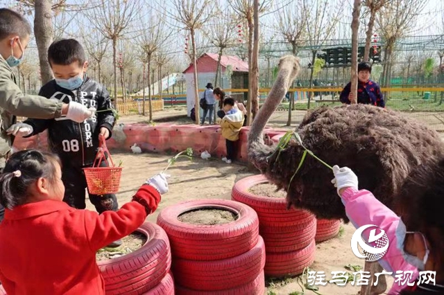 蘋果樹(shù)幼兒園赴世外桃源教育農(nóng)場(chǎng)開(kāi)展春季游學(xué)