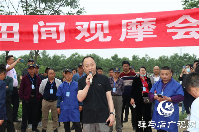 麥熟寶大增產(chǎn) 中原麥區(qū)論英雄 ——北沃農(nóng)業(yè)2021麥熟寶觀摩會勝利召開