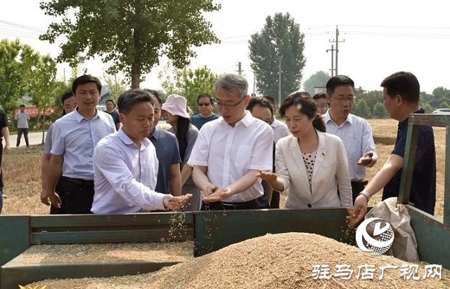 駐馬店市委副書記王振利調(diào)研遂平縣“三夏”生產(chǎn)工作