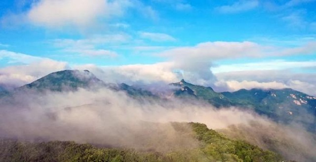 “市”外有桃園，宜陽花果山，遛娃首選點