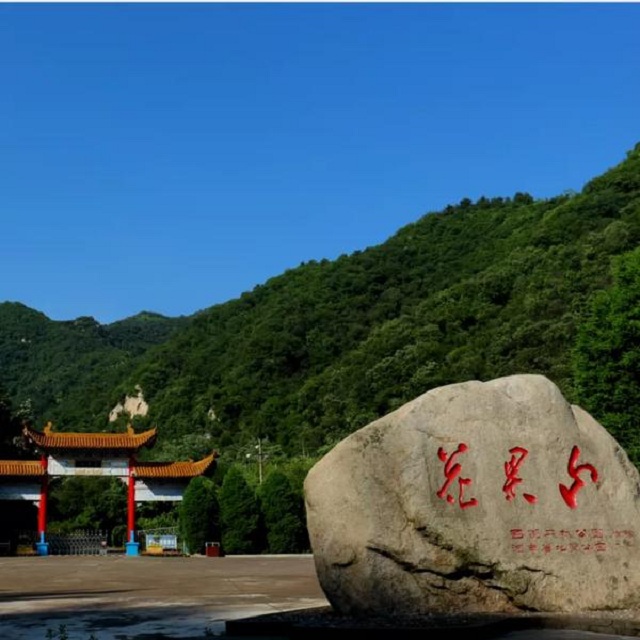 “市”外有桃園，宜陽花果山，遛娃首選點