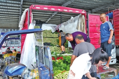 防汛救災進行時·人民至上｜蔬菜貨源充足，價格正常暴雨后的“菜籃子”被托得很穩(wěn)