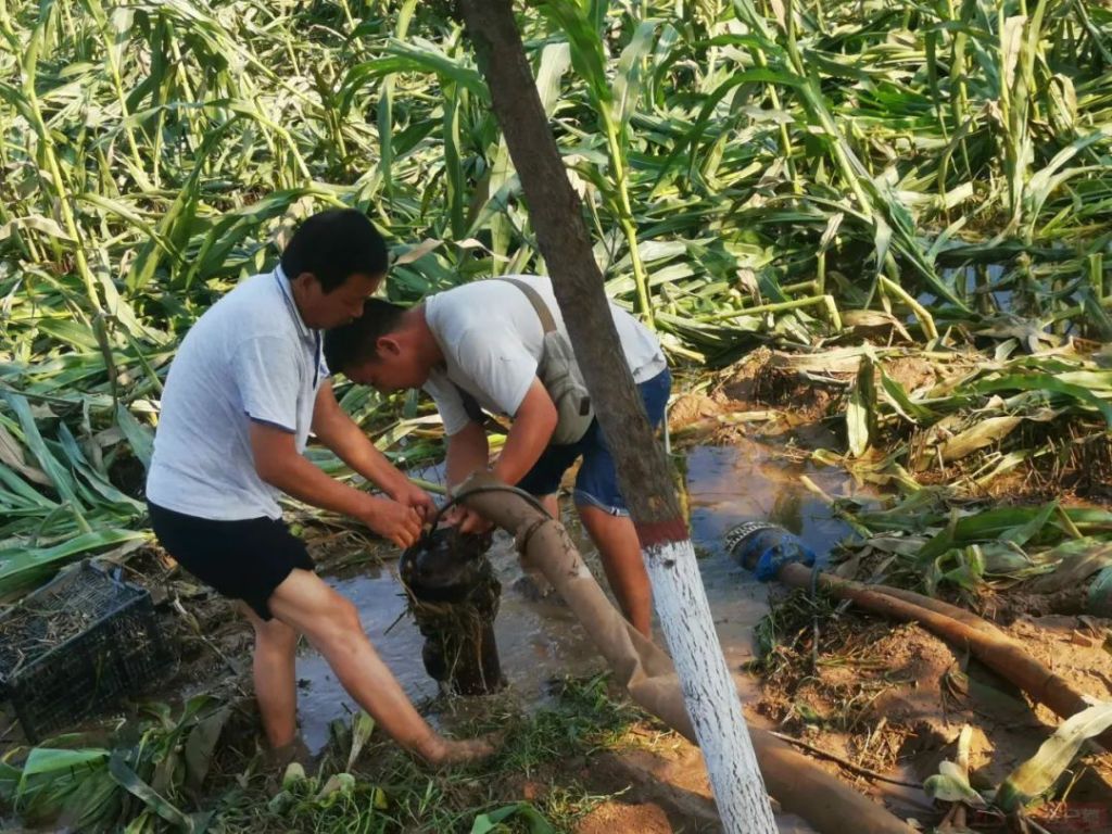 河南：汛情過后，科技支撐恢復(fù)農(nóng)業(yè)生產(chǎn)