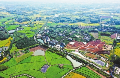 你好，小康丨光山縣東岳村：田園多彩 電商下鄉(xiāng)